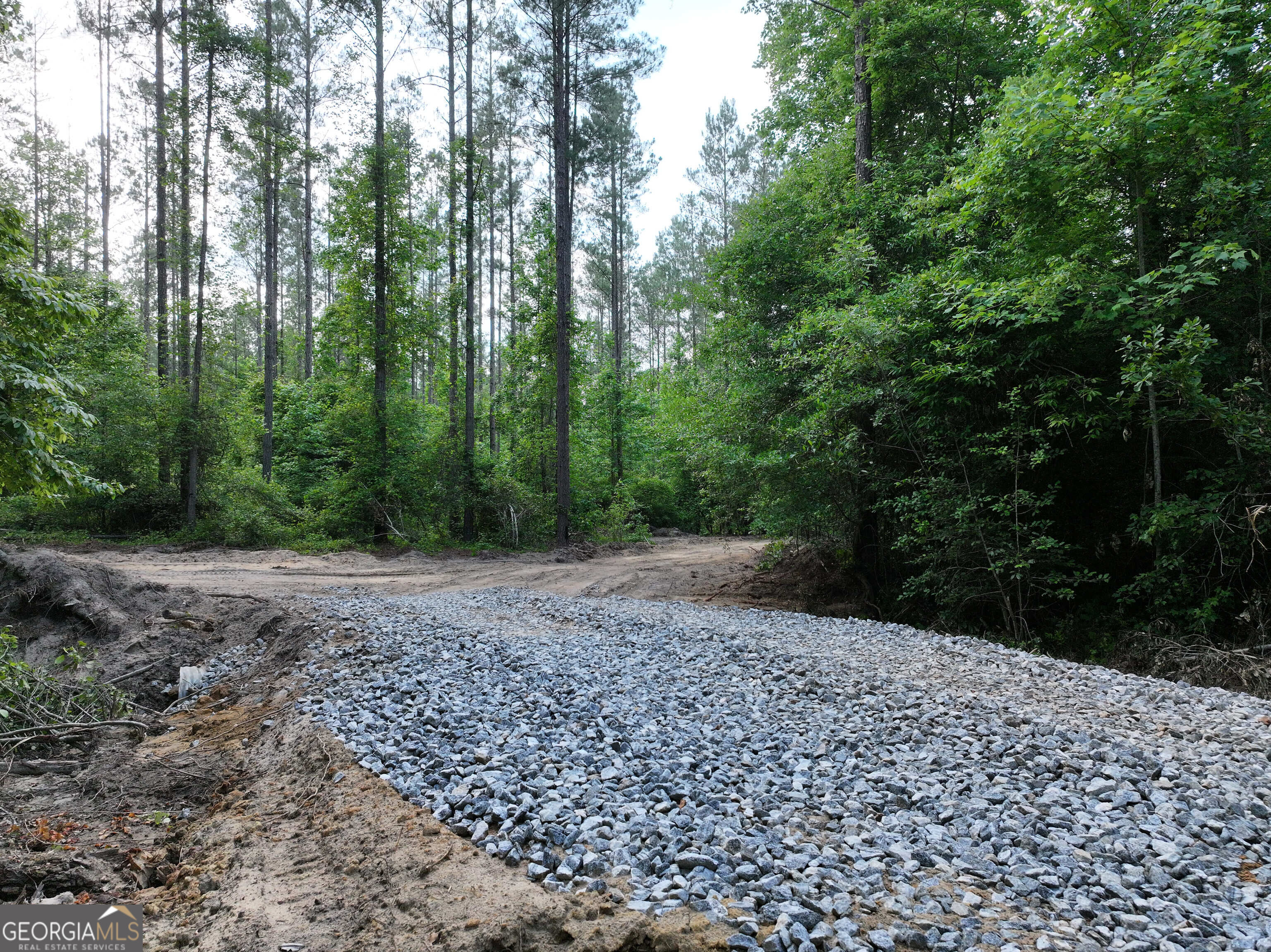 195 County Line Road Morris, GA 39867 - Photo 62 of 69 Gallery Image 62