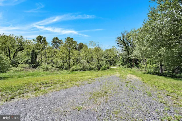 a view of a field with trees in the background