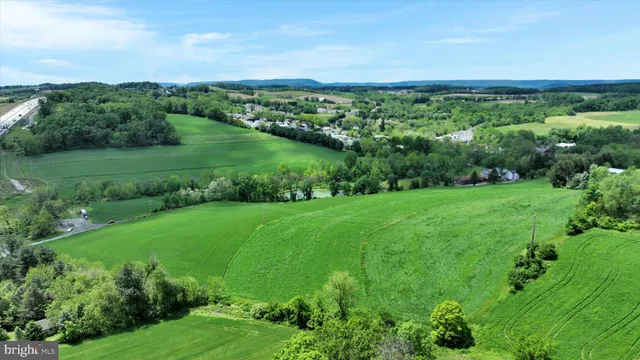 a view of a lush green space