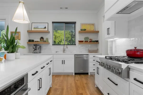 a kitchen with stainless steel appliances white cabinets a stove a sink and a potted plant