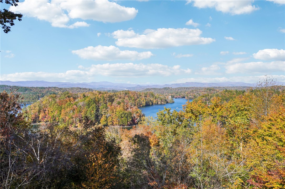 812 Top Ridge Drive Sunset, SC 29685 - Photo 3 of 48