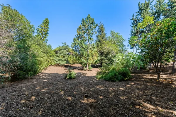 a big yard with lots of green space