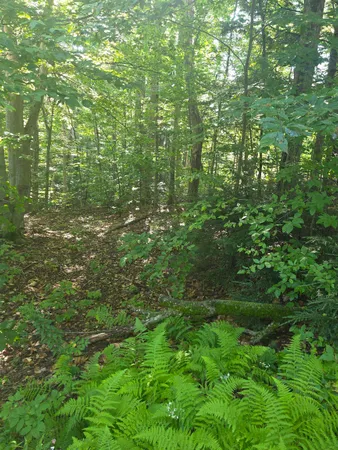 $84,900 | 0 Allard Farm Circuit, North Conway, NH 03860