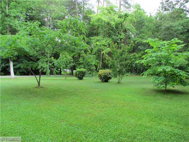 Yard/Garden.