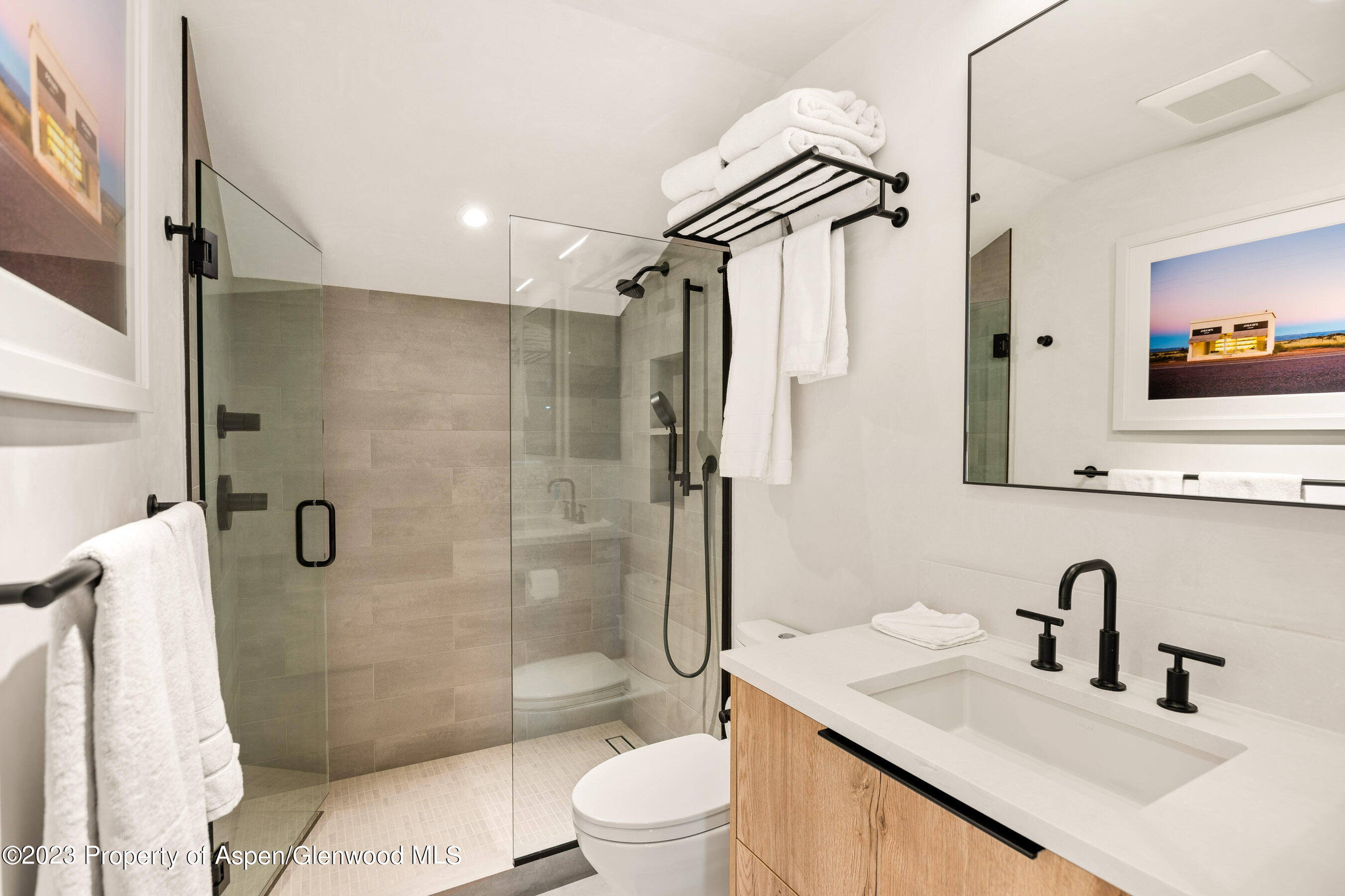 100 North 8th Street, Unit 15 Aspen, CO 81611 - Photo 16 of 27 a bathroom with a sink toilet and shower