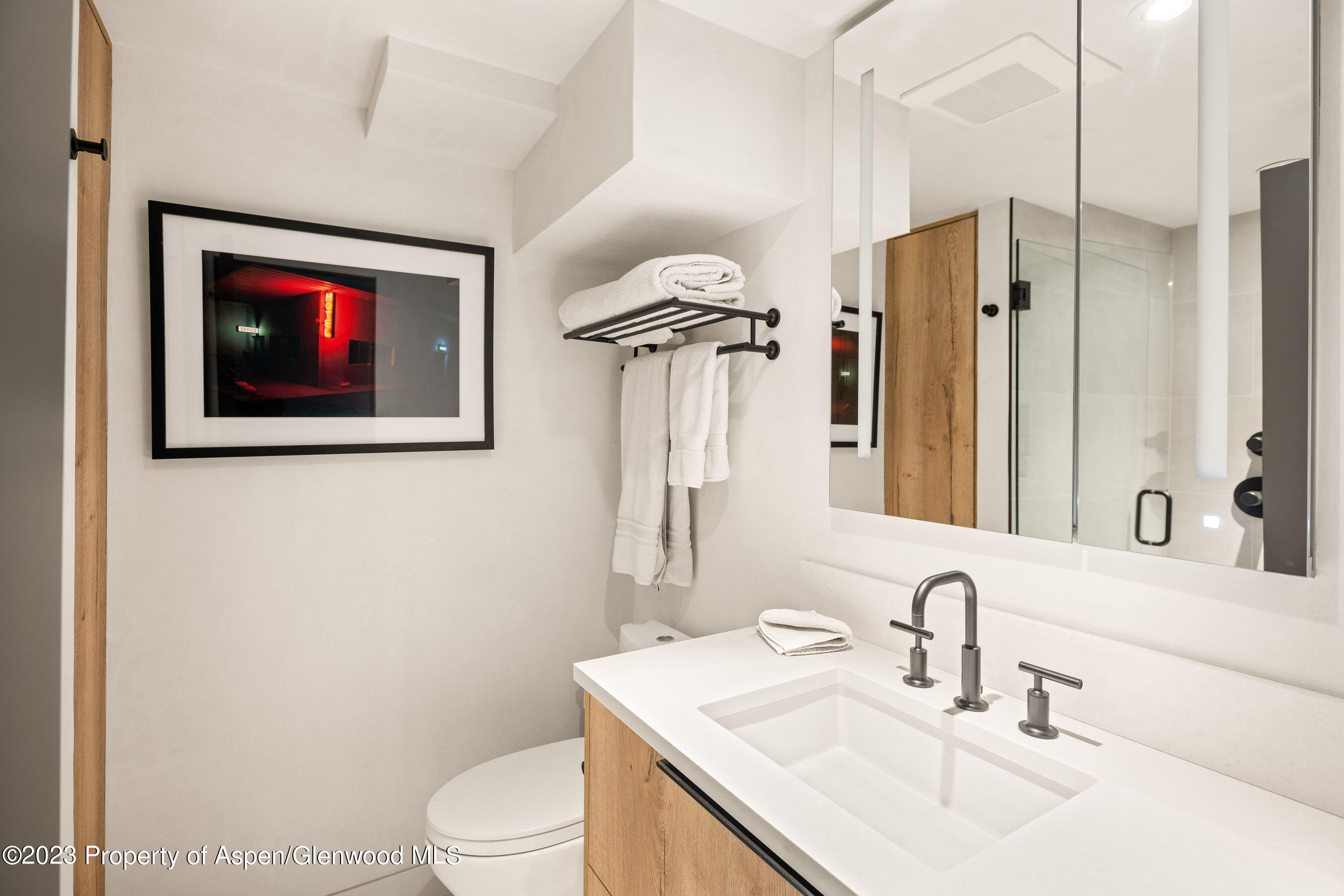 100 North 8th Street, Unit 15 Aspen, CO 81611 - Photo 22 of 27 a bathroom with a sink a toilet and shower