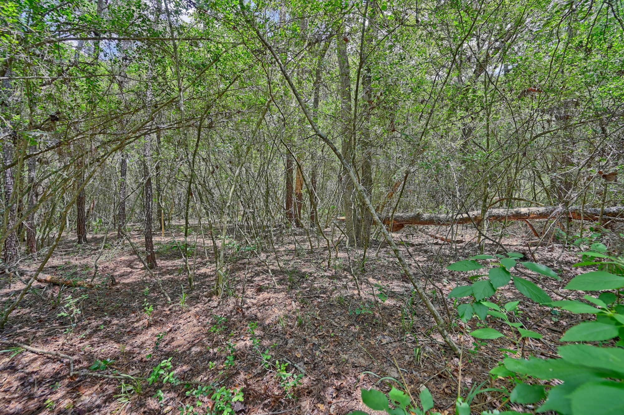 16893 Whippoorwill Road Navasota, TX 77868 - Photo 21 of 31