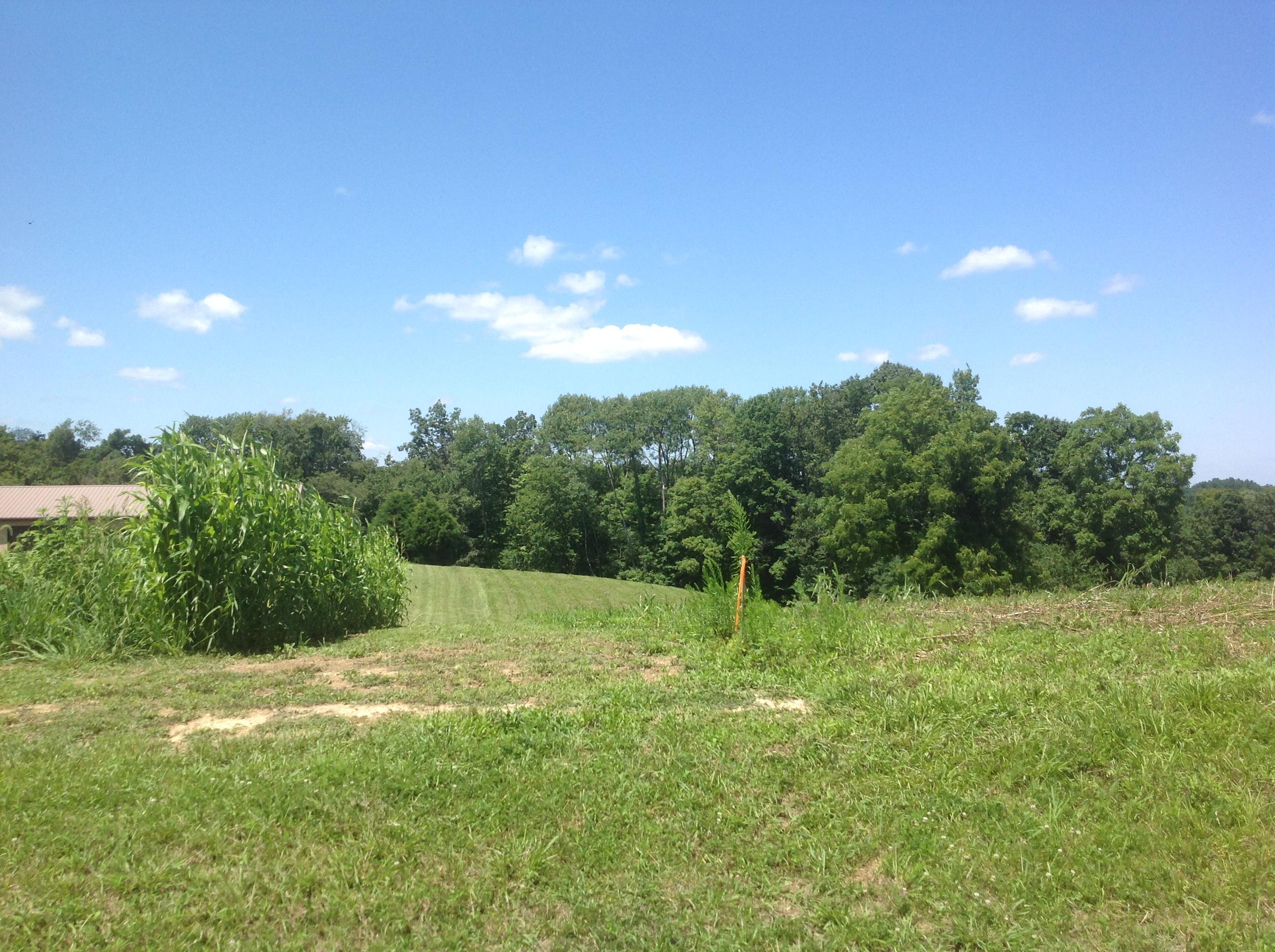 0 Marietta Road Southwest Junction City, OH 43748 - Photo 12 of 23