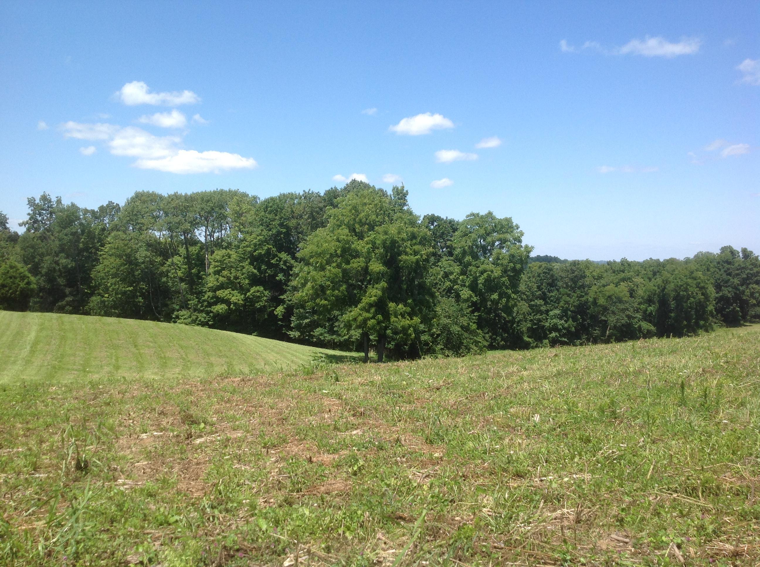 0 Marietta Road Southwest Junction City, OH 43748 - Photo 13 of 23