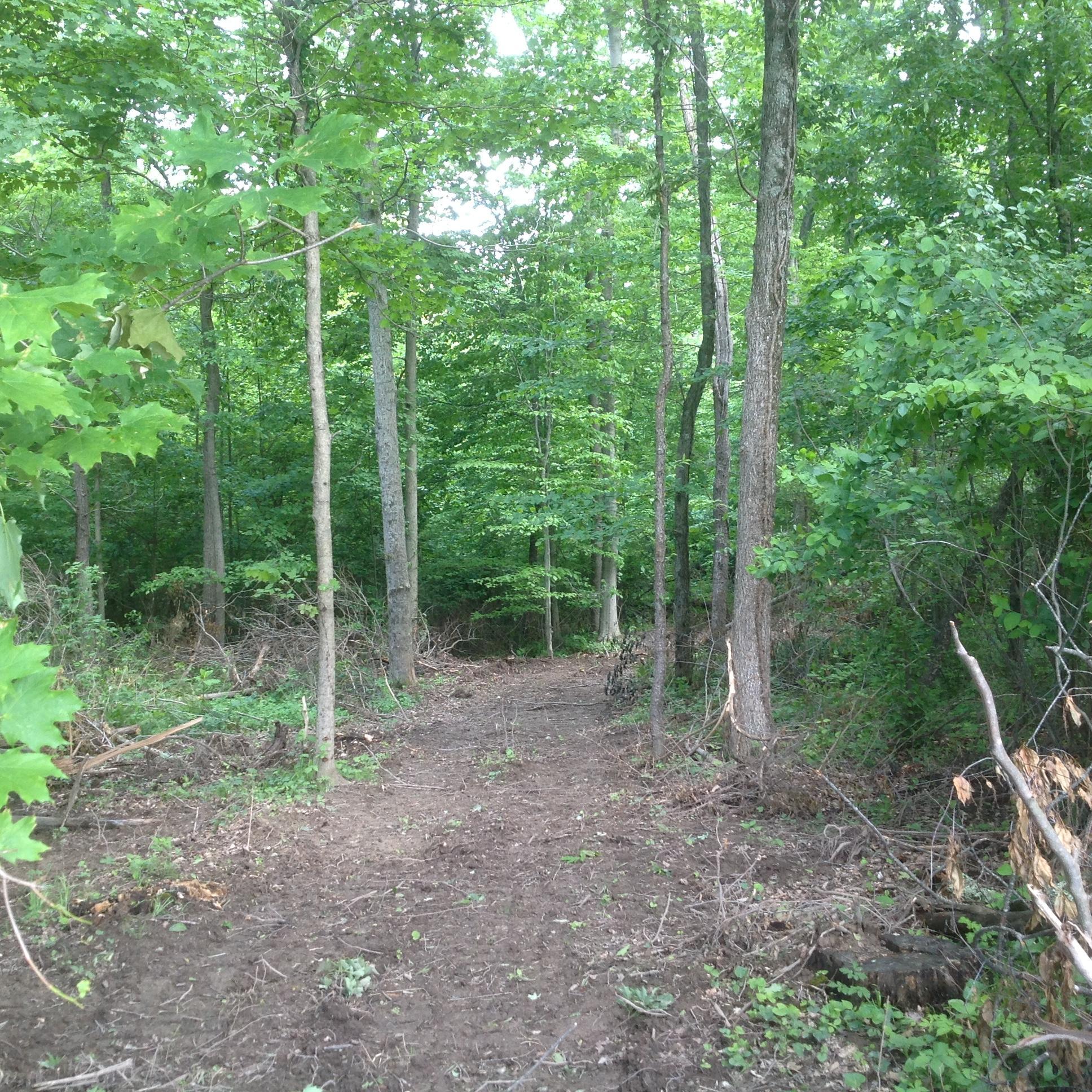 0 Marietta Road Southwest Junction City, OH 43748 - Photo 15 of 23