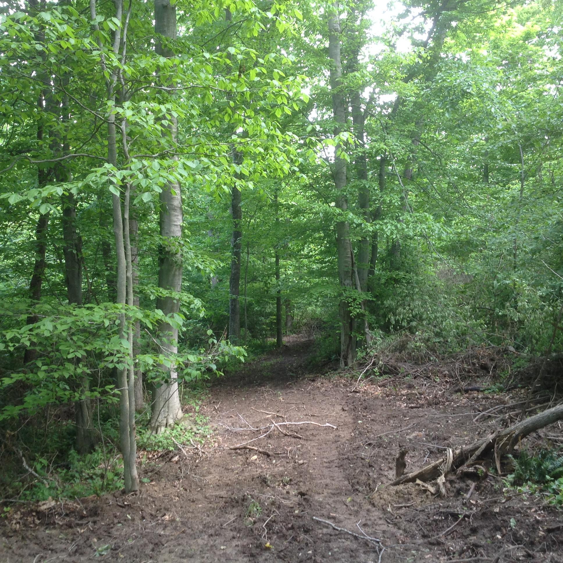 0 Marietta Road Southwest Junction City, OH 43748 - Photo 16 of 23