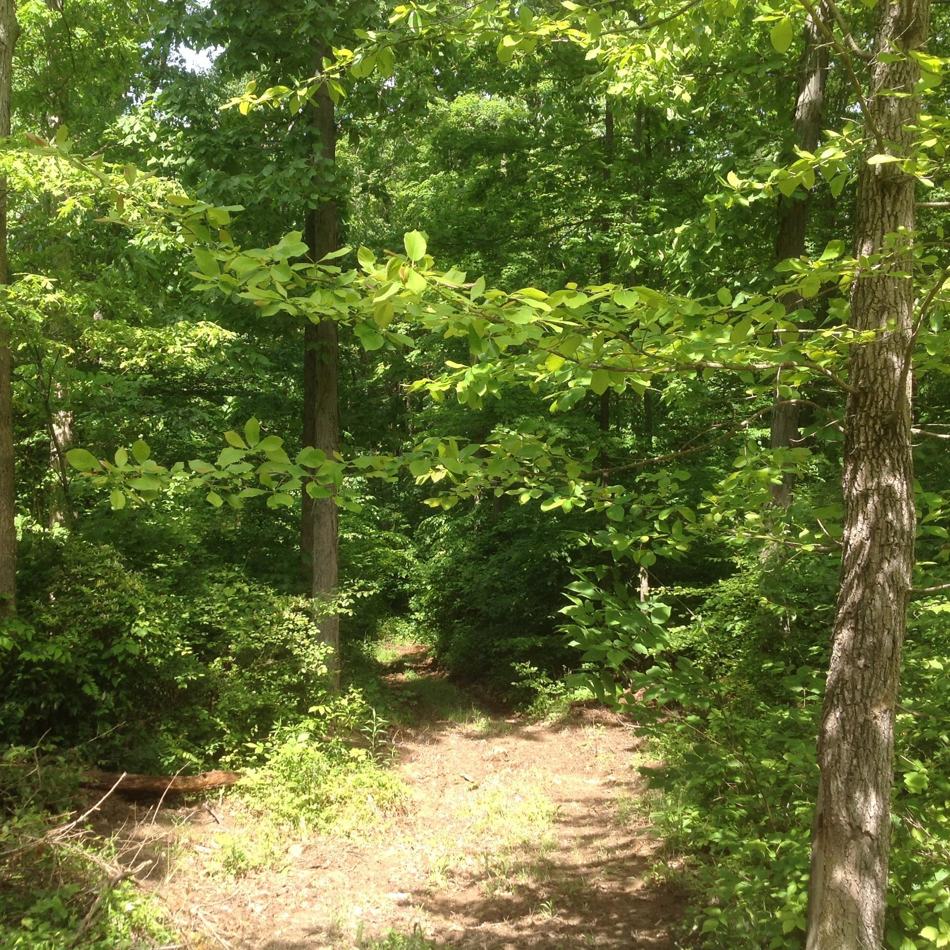 0 Marietta Road Southwest Junction City, OH 43748 - Photo 21 of 23