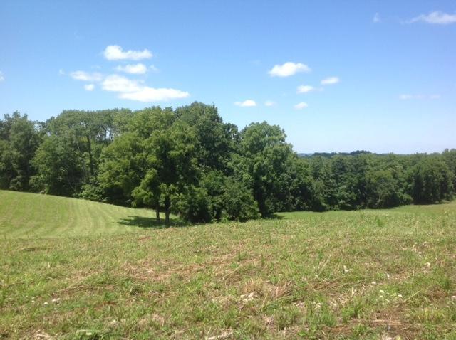 0 Marietta Road Southwest Junction City, OH 43748 - Photo 9 of 23