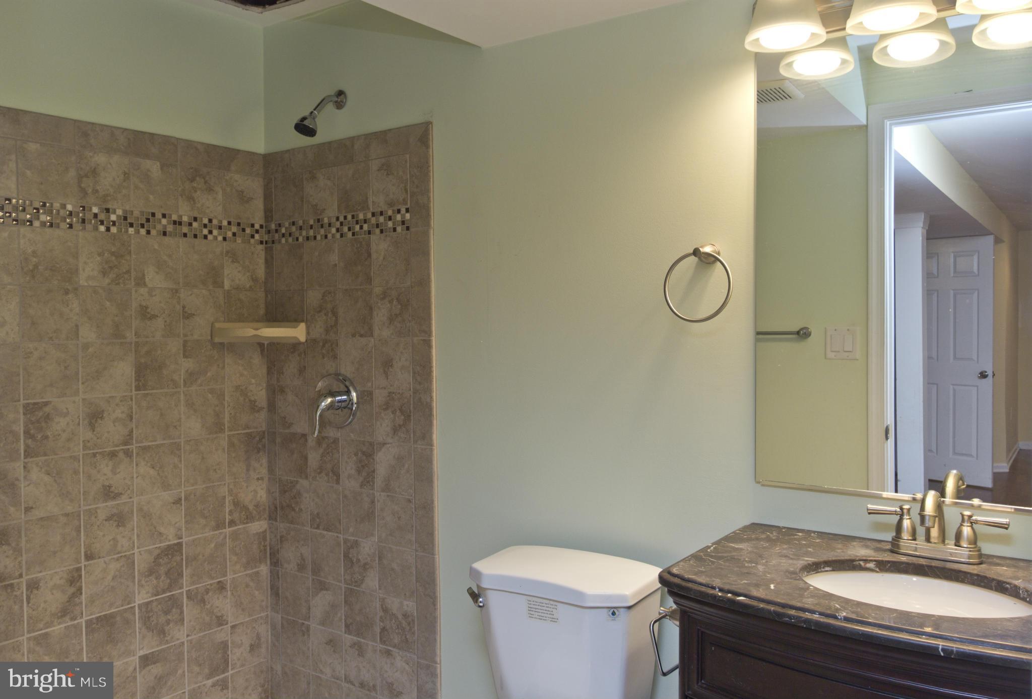 219 Cresswell Road Baltimore, MD 21225 - Photo 16 of 22 Full Bath Lower Level