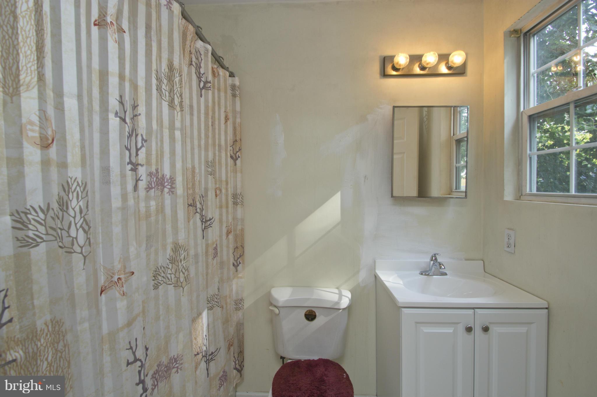 219 Cresswell Road Baltimore, MD 21225 - Photo 10 of 22 Bath (Master)