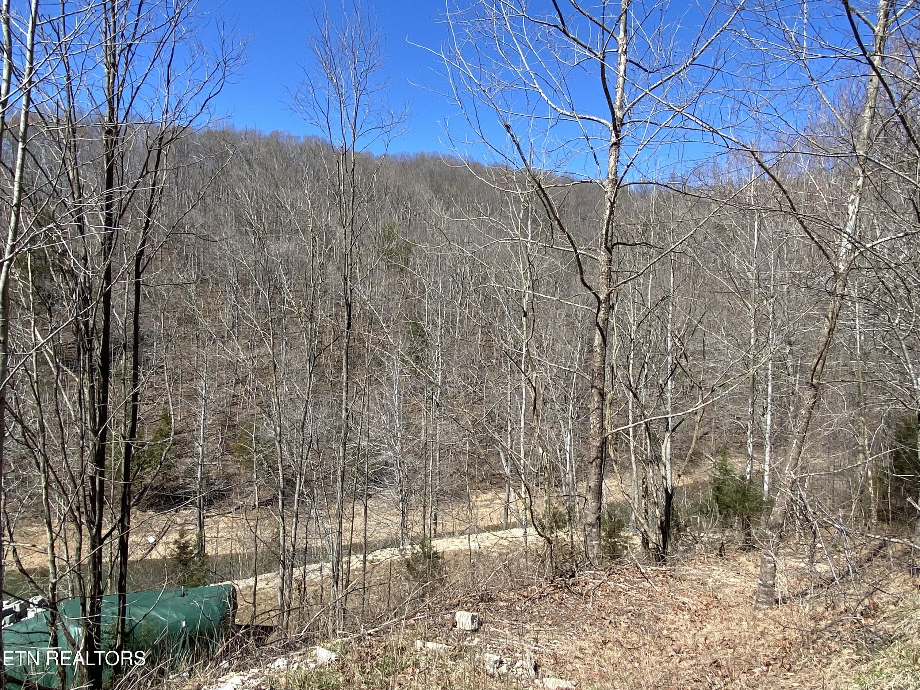 1 River Ridge Road Maynardville, TN 37807 - Photo 3 of 4 IMG_7663