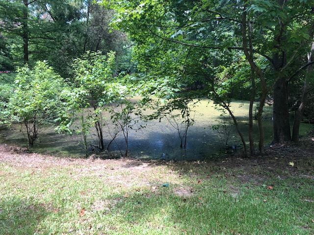 206 Mill Branch Road Tallahassee, FL 32312 - Photo 14 of 15 Gallery Image 14