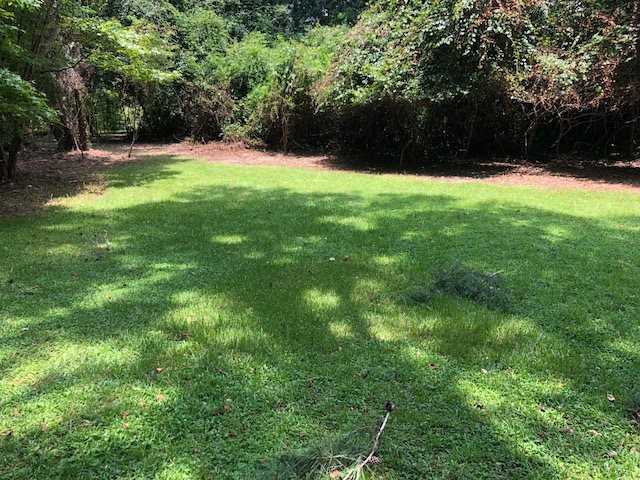 206 Mill Branch Road Tallahassee, FL 32312 - Photo 6 of 15 Gallery Image 6
