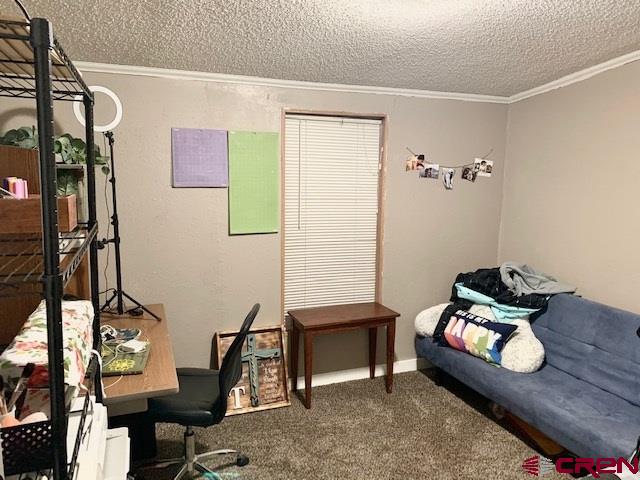 17800 6780 Road Montrose, CO 81401 - Photo 19 of 19 Gallery Image 19