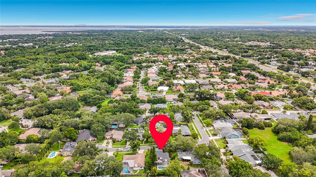 3 Octavia Way Safety Harbor, FL 34695 - Photo 62 of 65