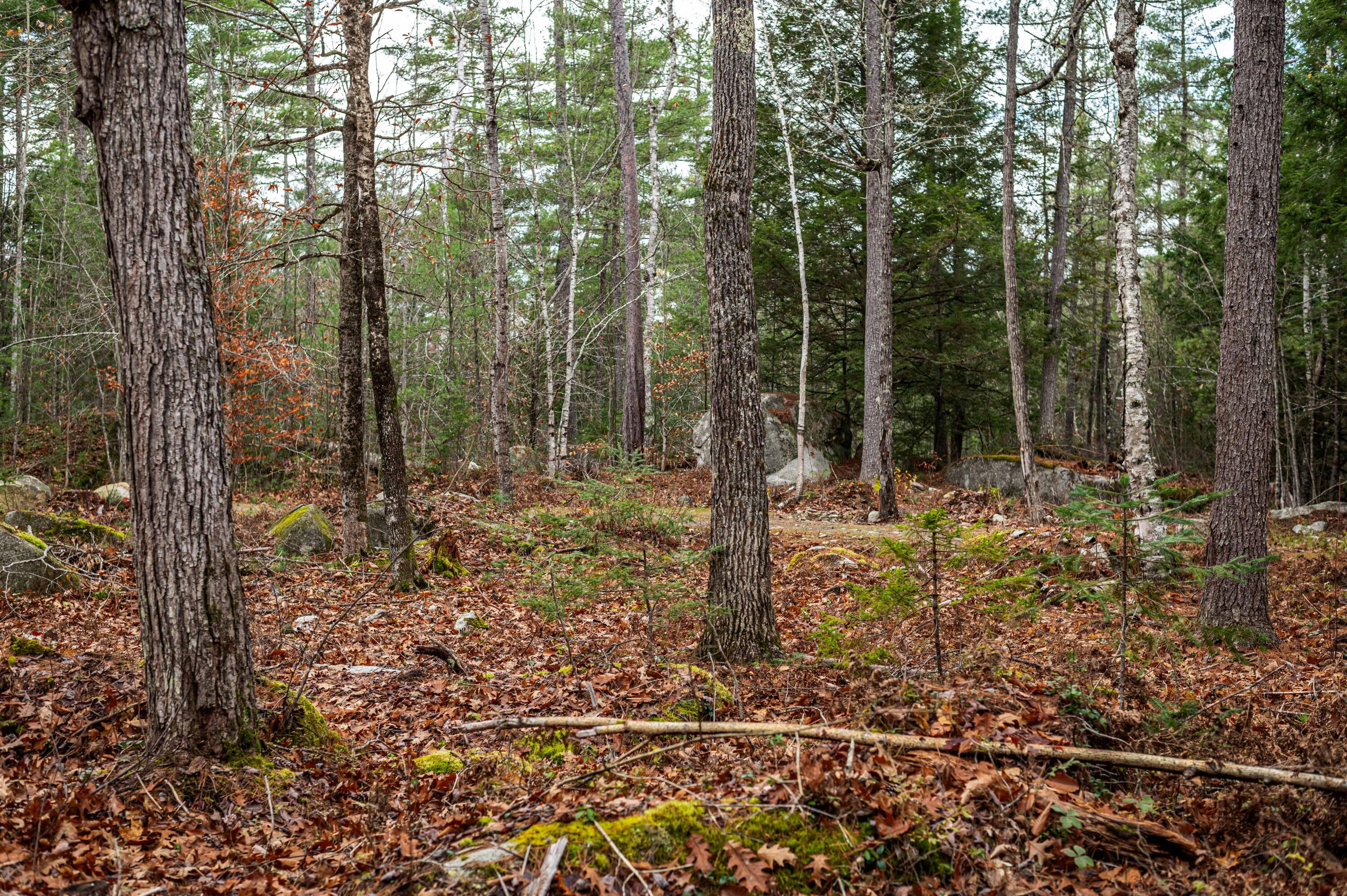 1 Frenchs Rock Road Hartland, ME 04943 - Photo 14 of 17 French_s Rock Land-8