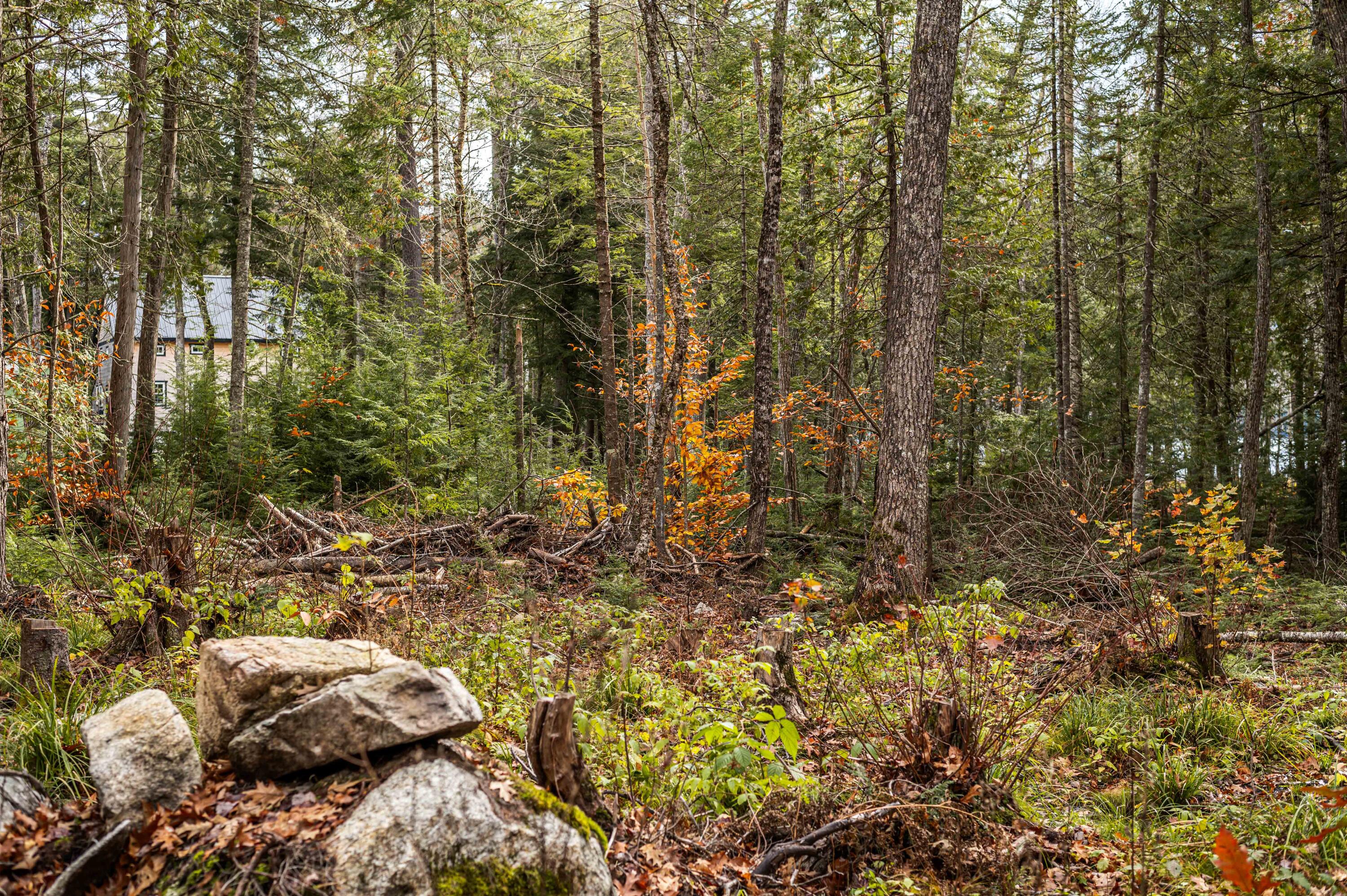 1 Frenchs Rock Road Hartland, ME 04943 - Photo 16 of 17 French_s Rock Land-11