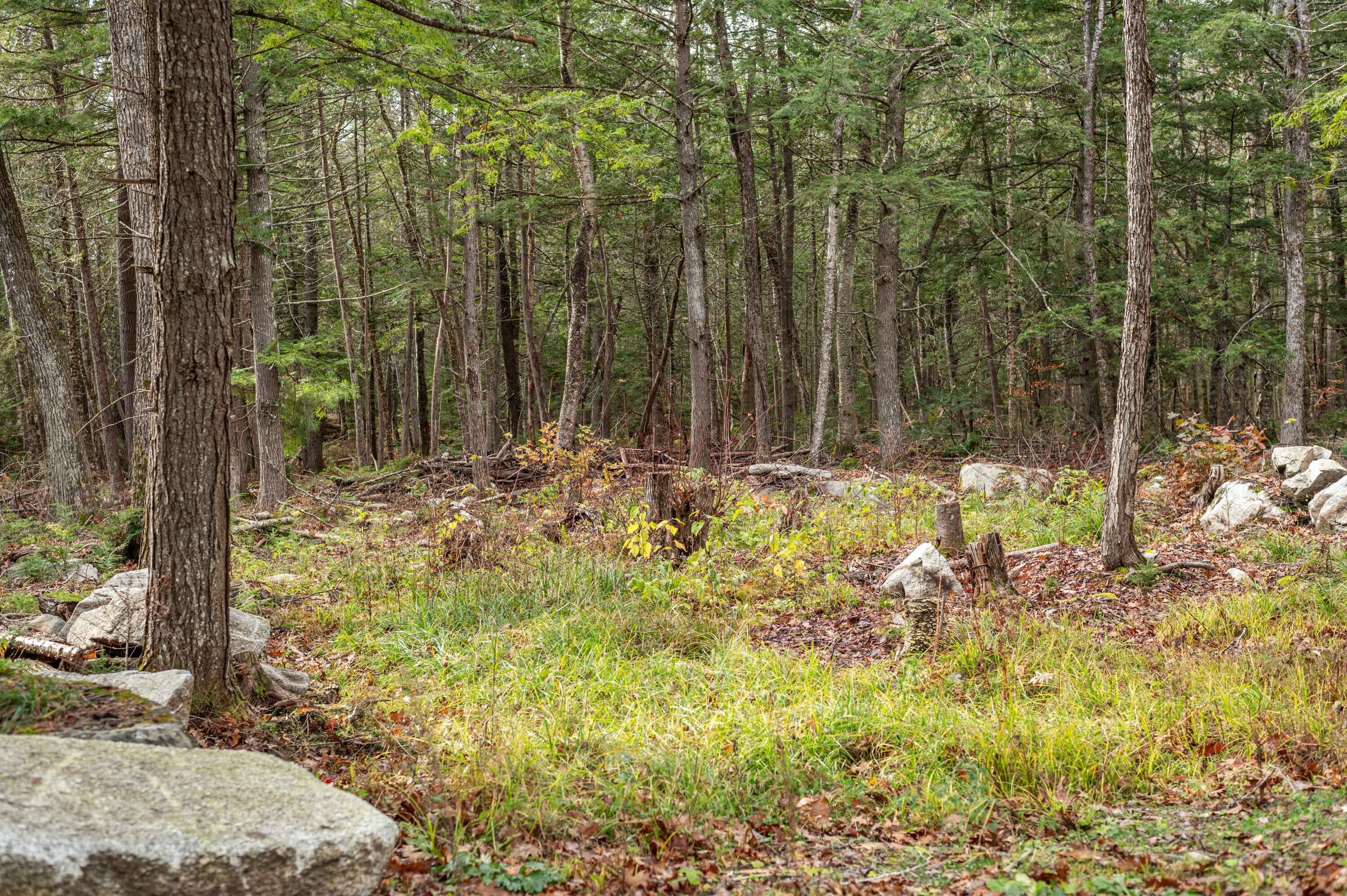 1 Frenchs Rock Road Hartland, ME 04943 - Photo 17 of 17 French_s Rock Land-13