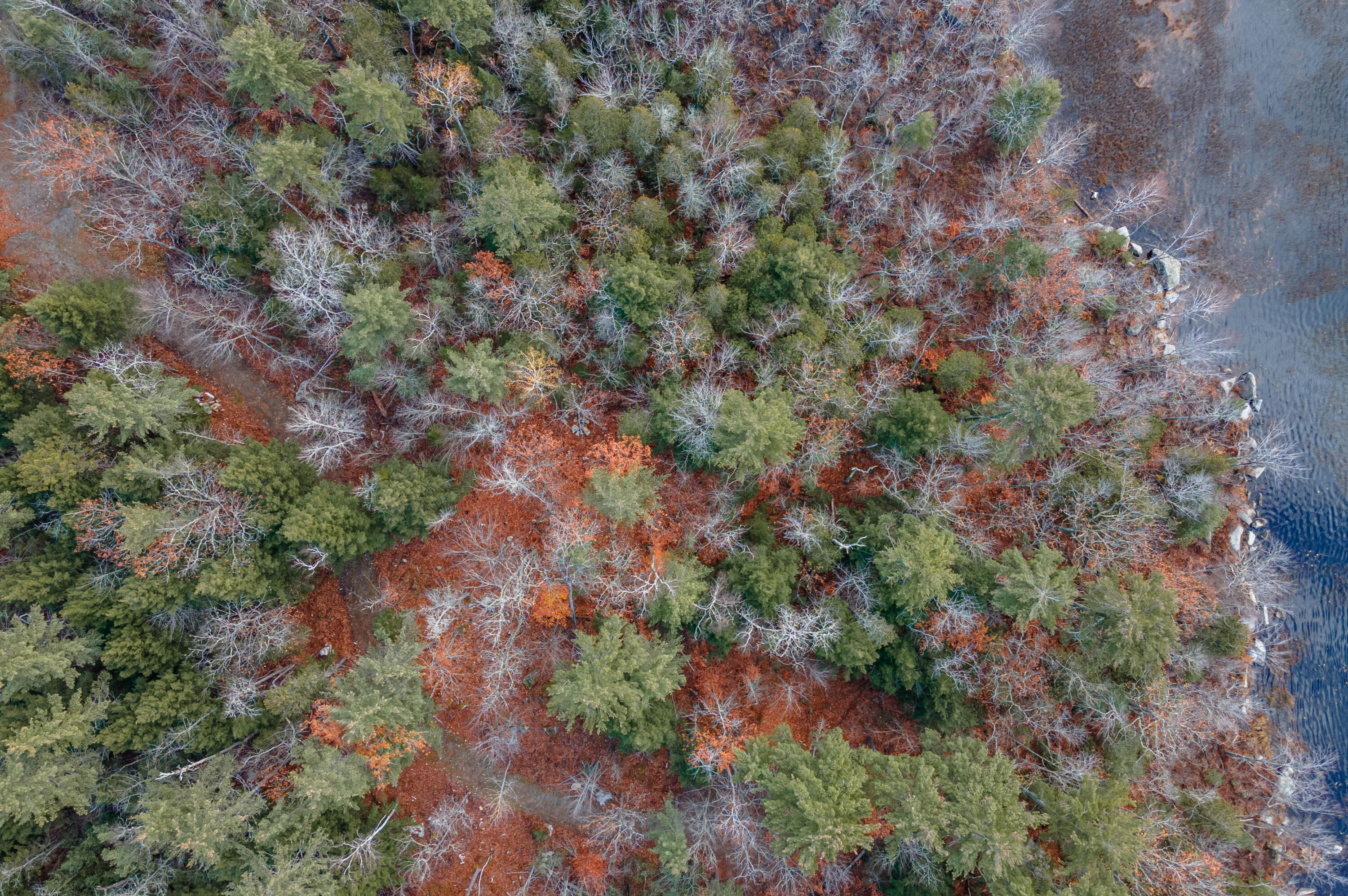 1 Frenchs Rock Road Hartland, ME 04943 - Photo 7 of 17 French_s Rock Land Aerials-7