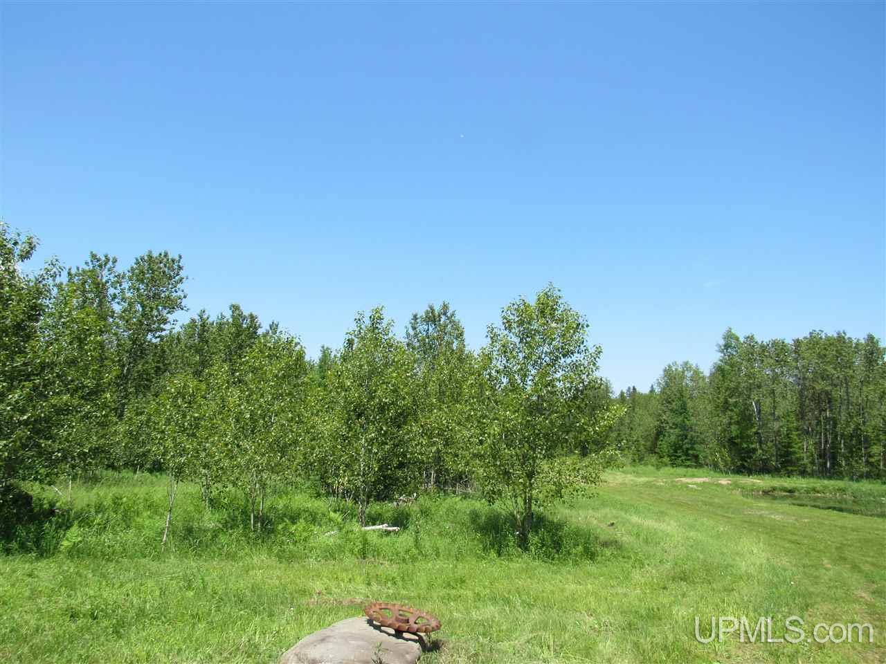 W2120 Cazzola Road Vulcan, MI 49892 - Photo 49 of 60