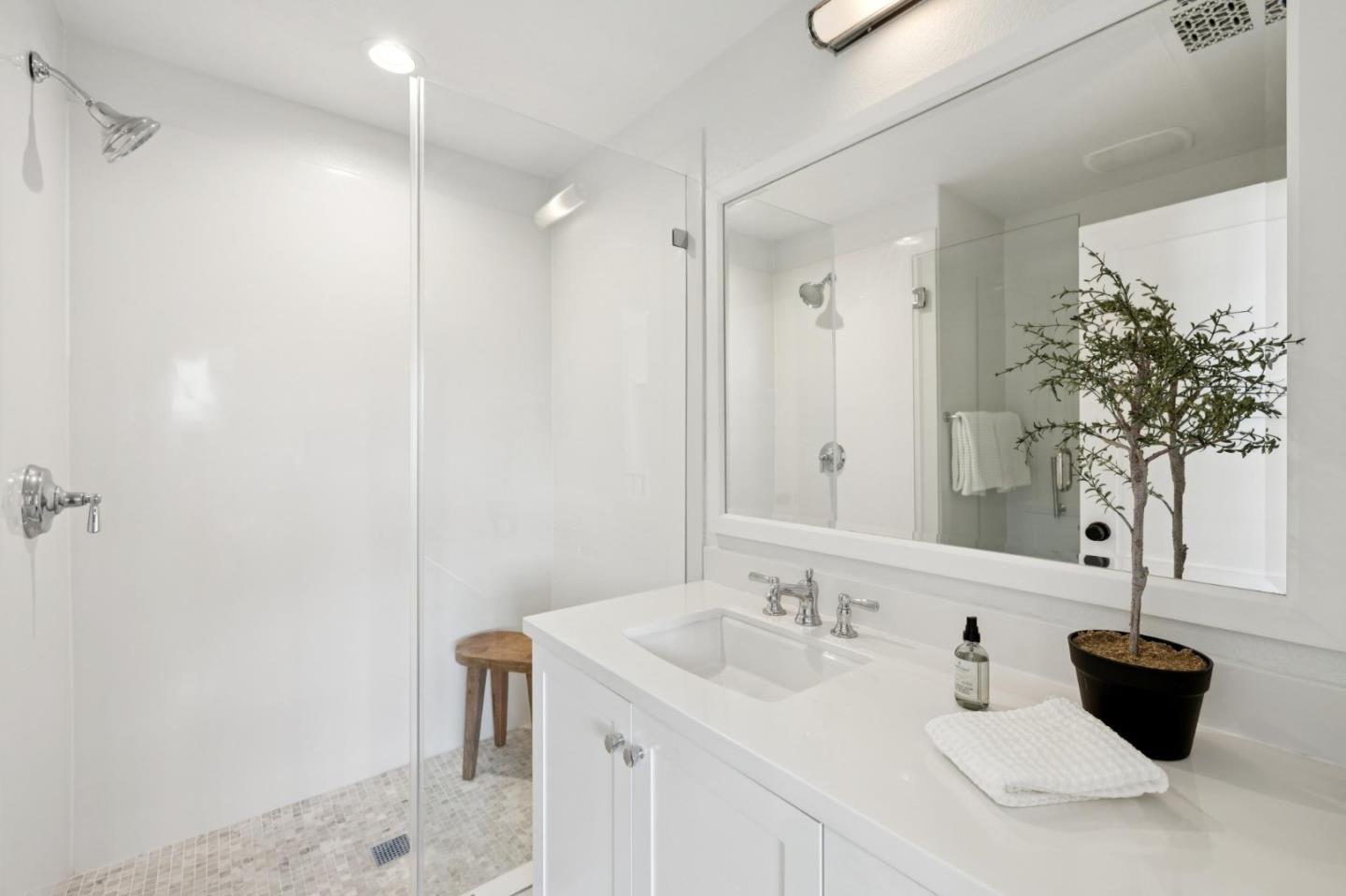 1103 Creed Street Milpitas, CA 95035 - Photo 54 of 74 a bathroom with a sink and a mirror