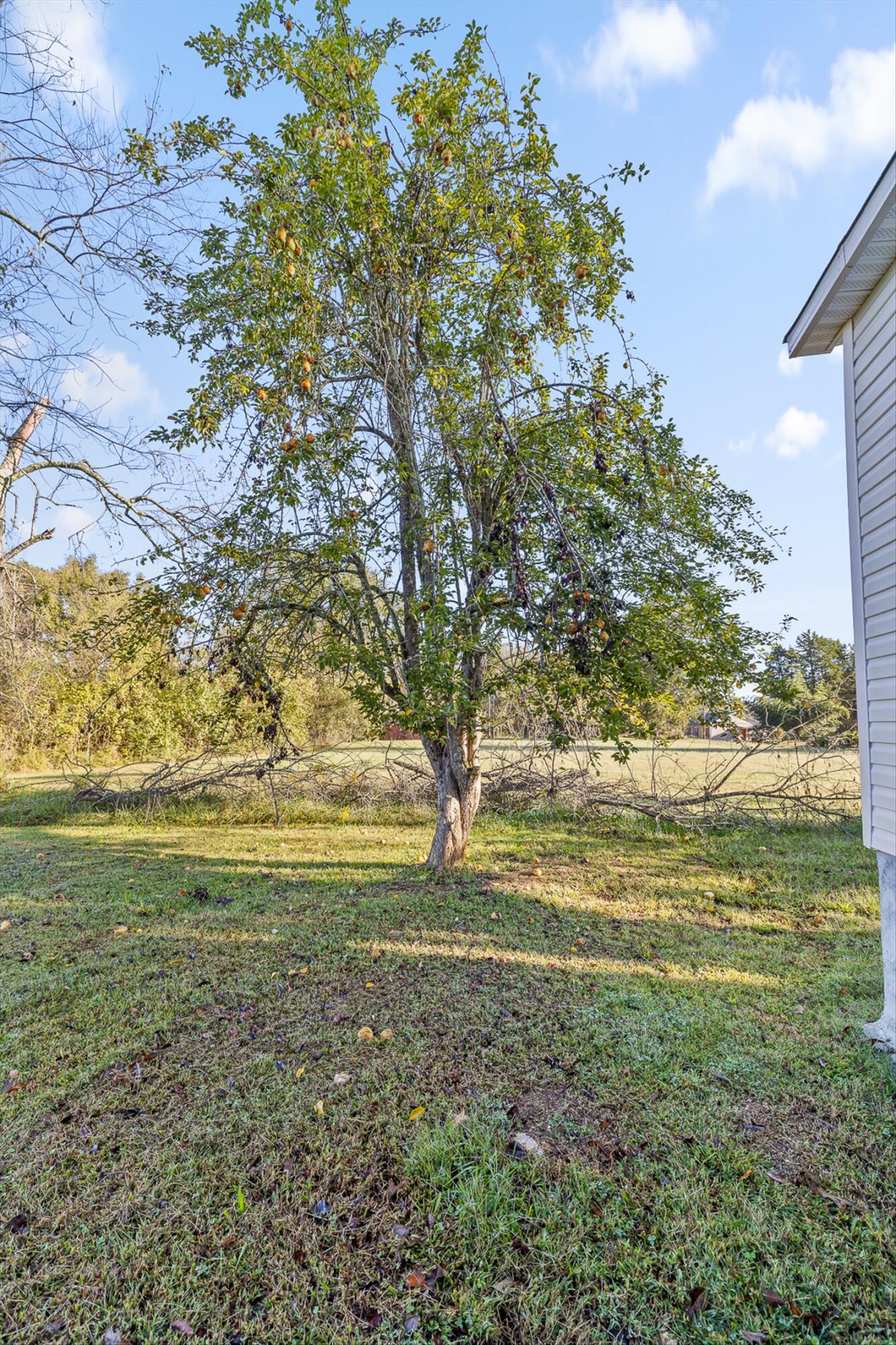 1733 Hancock Road Jasper, TN 37347 - Photo 25 of 32 27-Hancock Rd-10