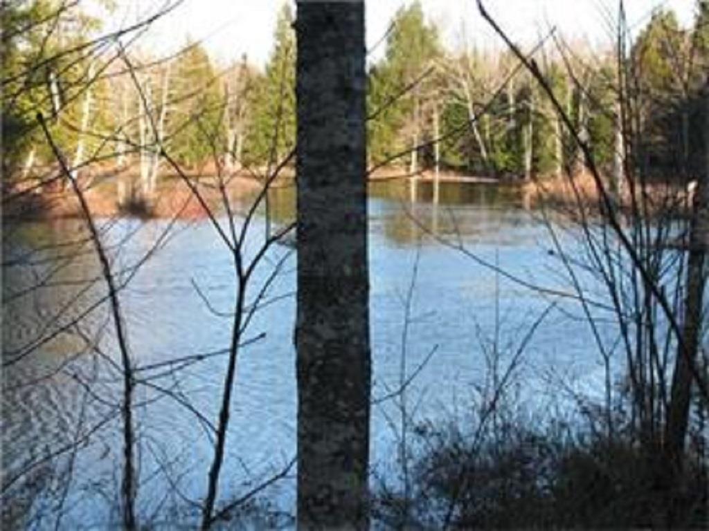 Lot#21 Mattmiscontis Road Howland, ME 04448 - Photo 8 of 10 Gordan Brook flows into the...