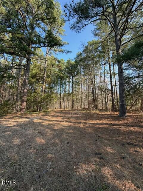 3629 Plantation Road Bullock, NC 27507 - Photo 4 of 19 4