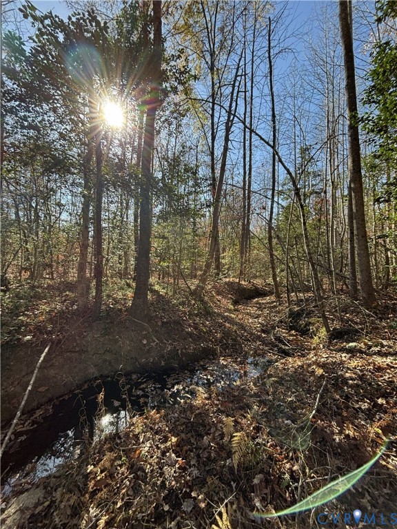 Lot 4 Diggstown Road Bumpass, VA 23024 - Photo 5 of 7 Creek along front property line