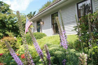 2 Linden Road East Sandwich, MA 02537 - Photo 30 of 35 Additional Photo