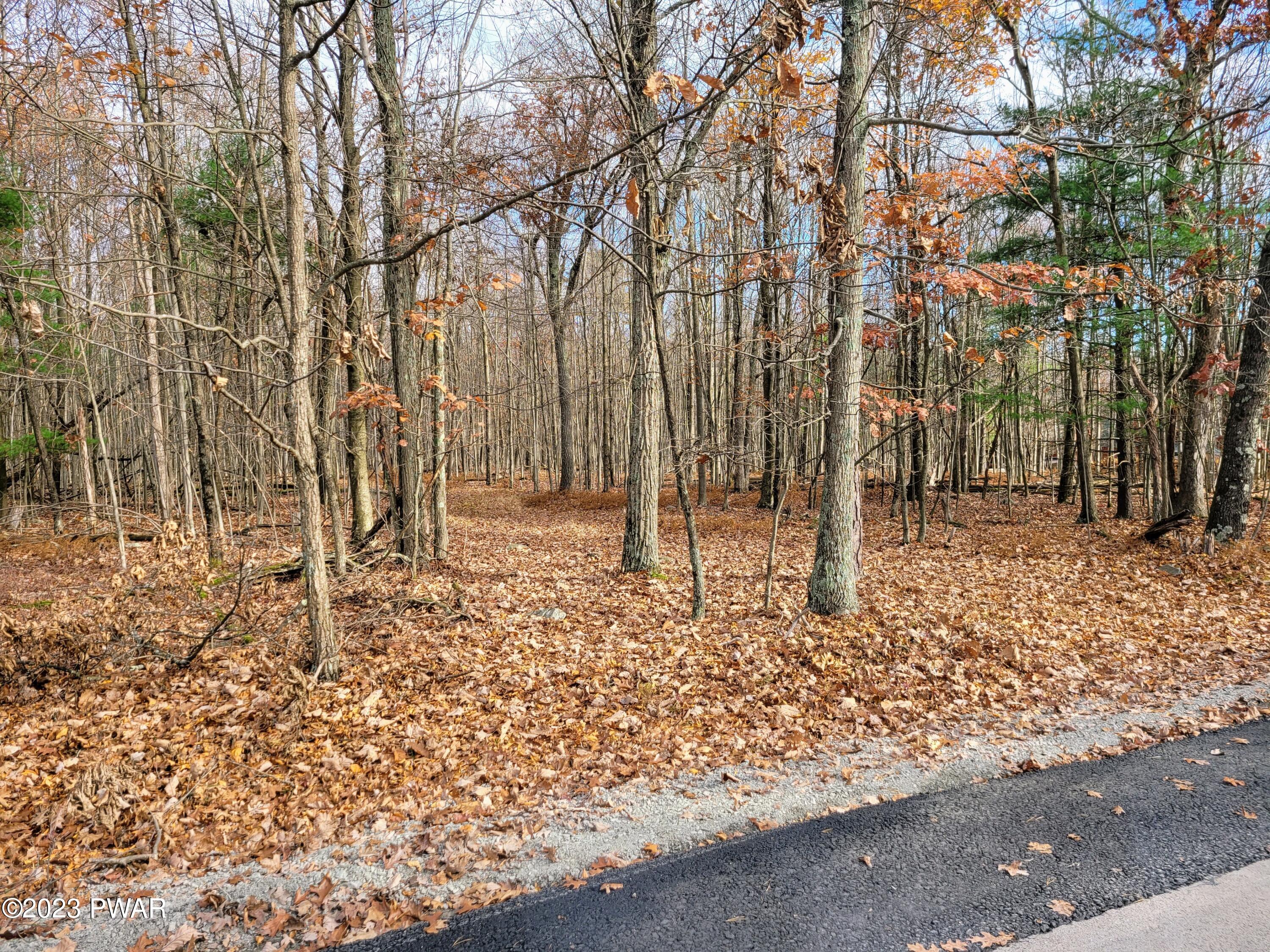 151 Moon Ridge Lane Tafton, PA 18464 - Photo 8 of 8