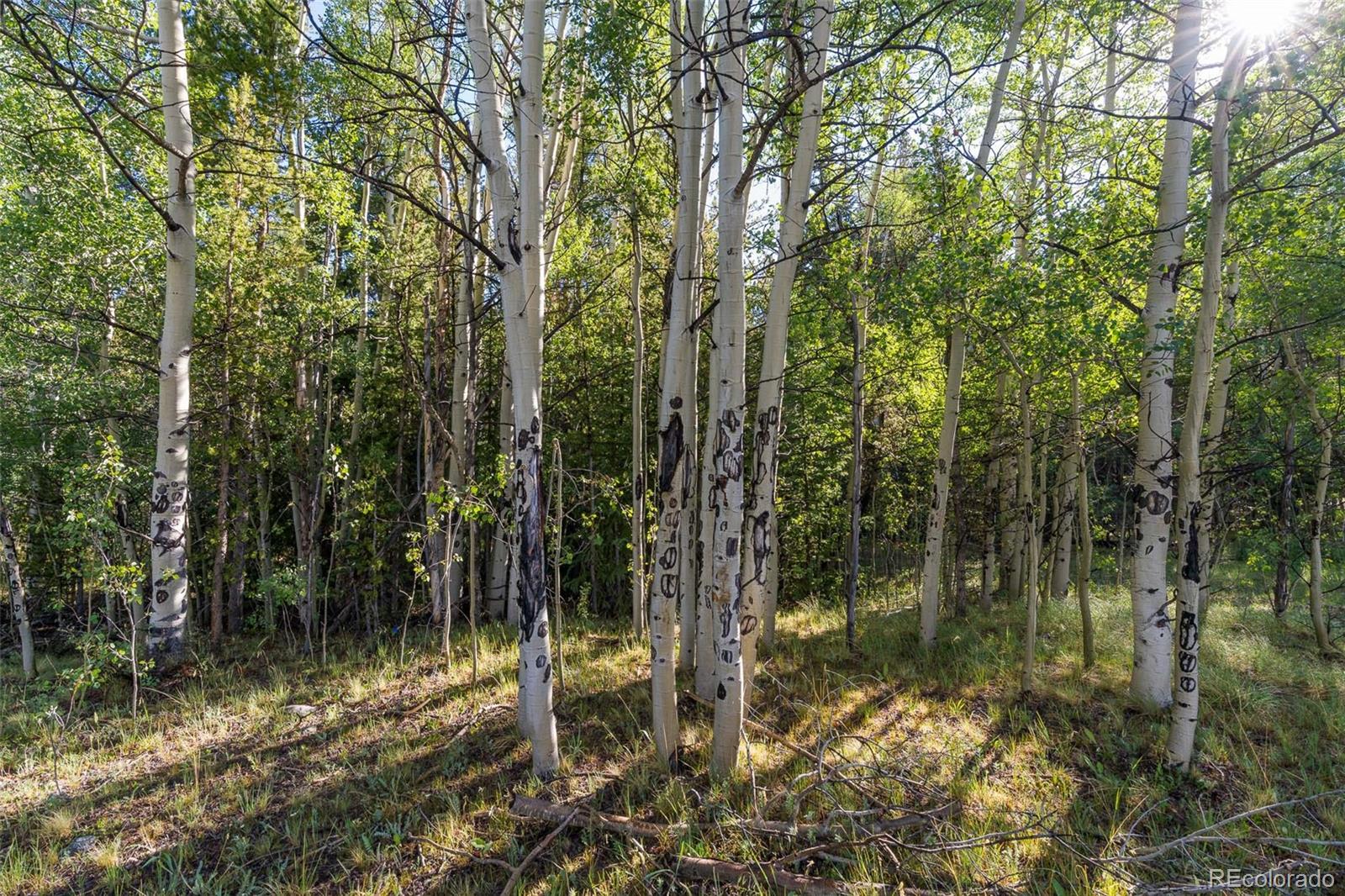 Lot 1 Snow Cap Peaks Road Fairplay, CO 80440 - Photo 5 of 20
