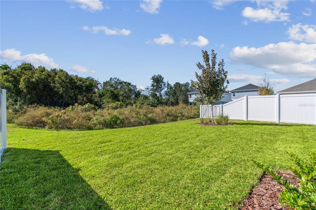 28780 Jujube Road Wesley Chapel, FL 33543 - Photo 48 of 55 Gallery Image 48