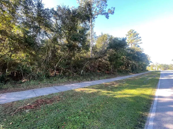 a view of a yard with large trees