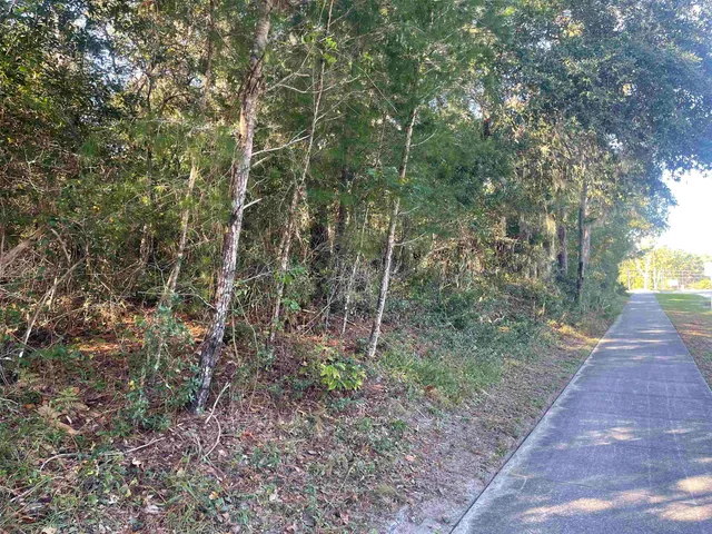 a view of a backyard with swimming pool
