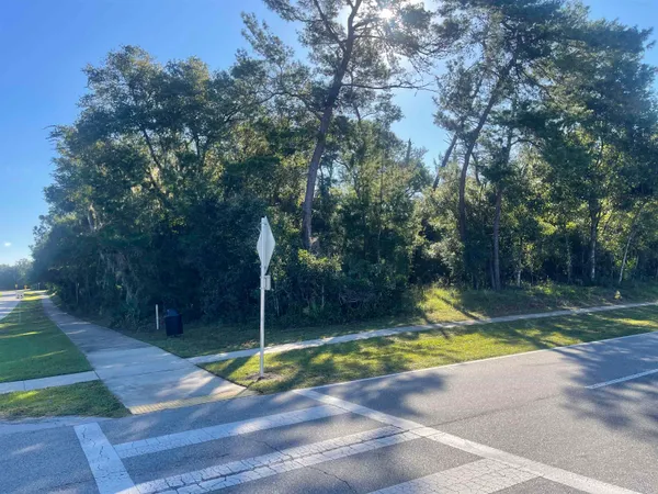 a view of a yard with plants and trees