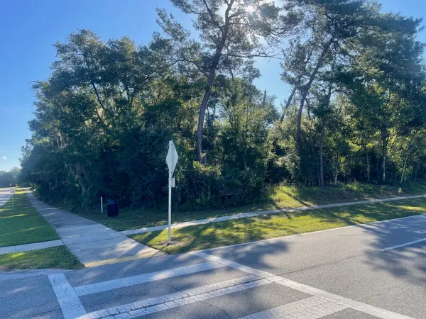 a view of a pathway both side of the yard