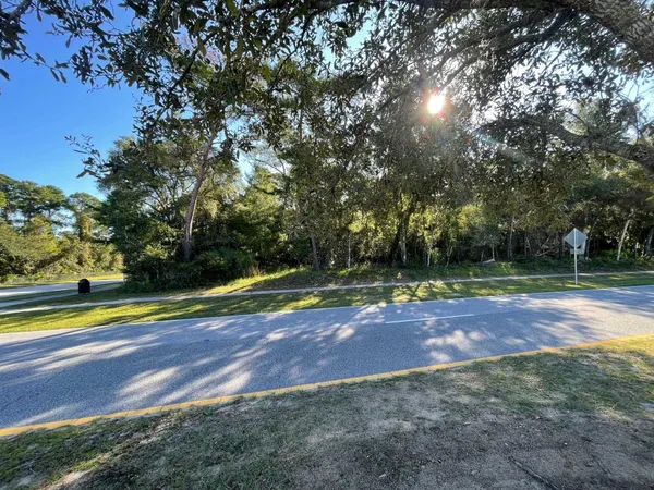 a view of a pathway with a yard