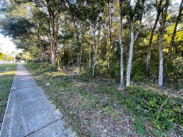 a view of a yard with an tree