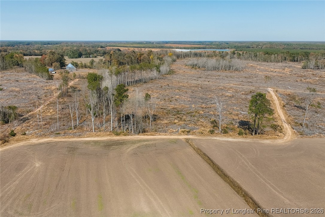 Lot 7 Barnesville Church Road Orrum, NC 28369 - Photo 1 of 10