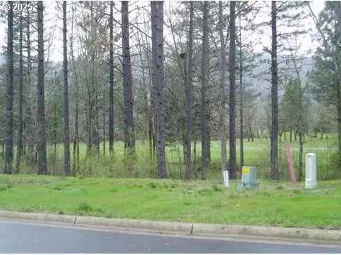 a view of a yard with a trees
