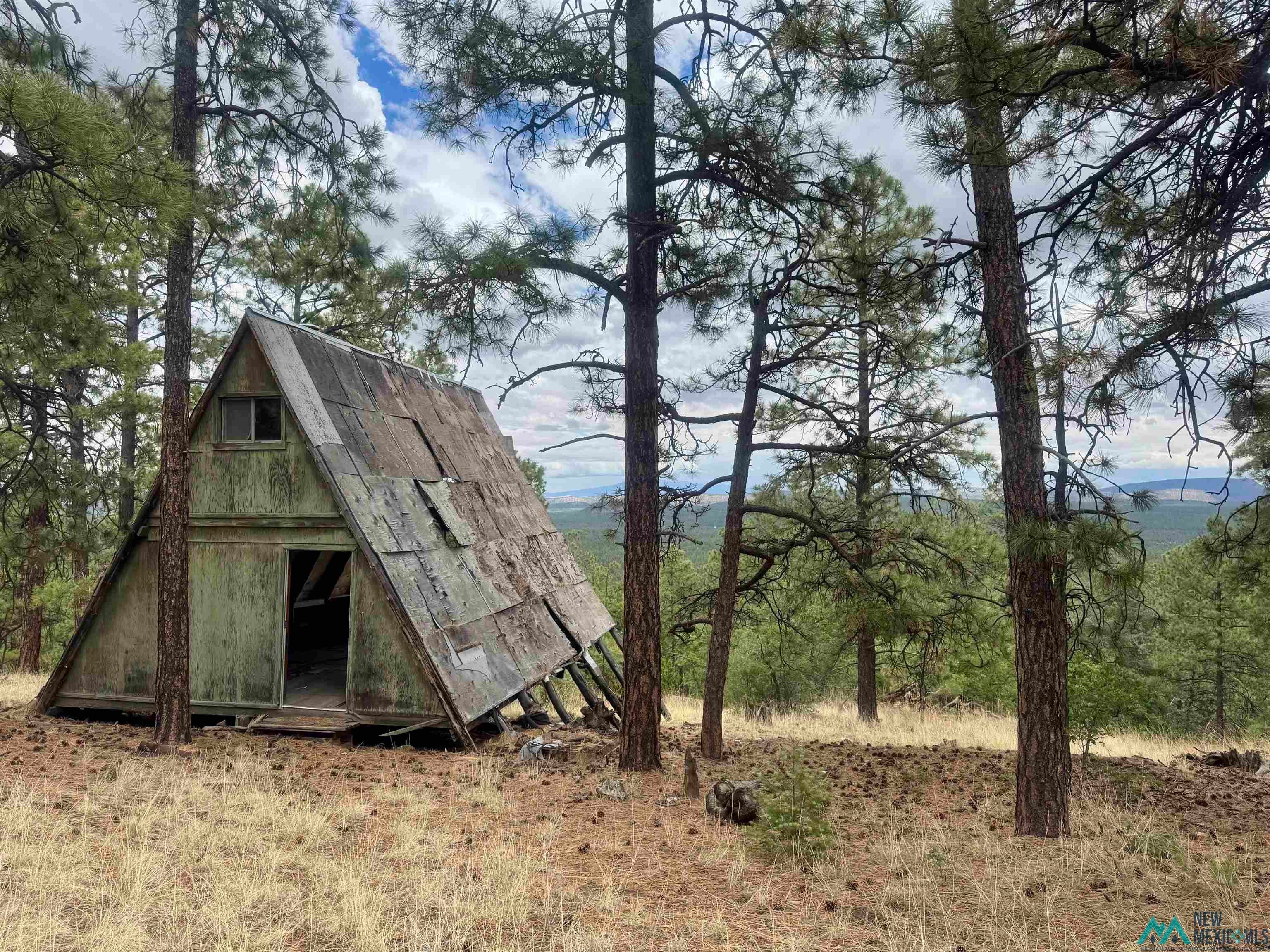 Tbd Oso Rdg Lookout Road Grants, NM 87020 - Photo 15 of 41
