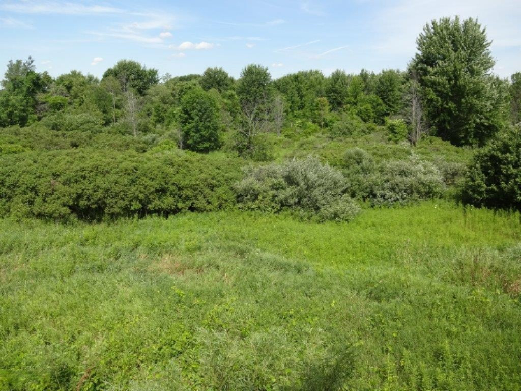 6915 South Maple Island Road Fremont, MI 49412 - Photo 6 of 20 DSC04052