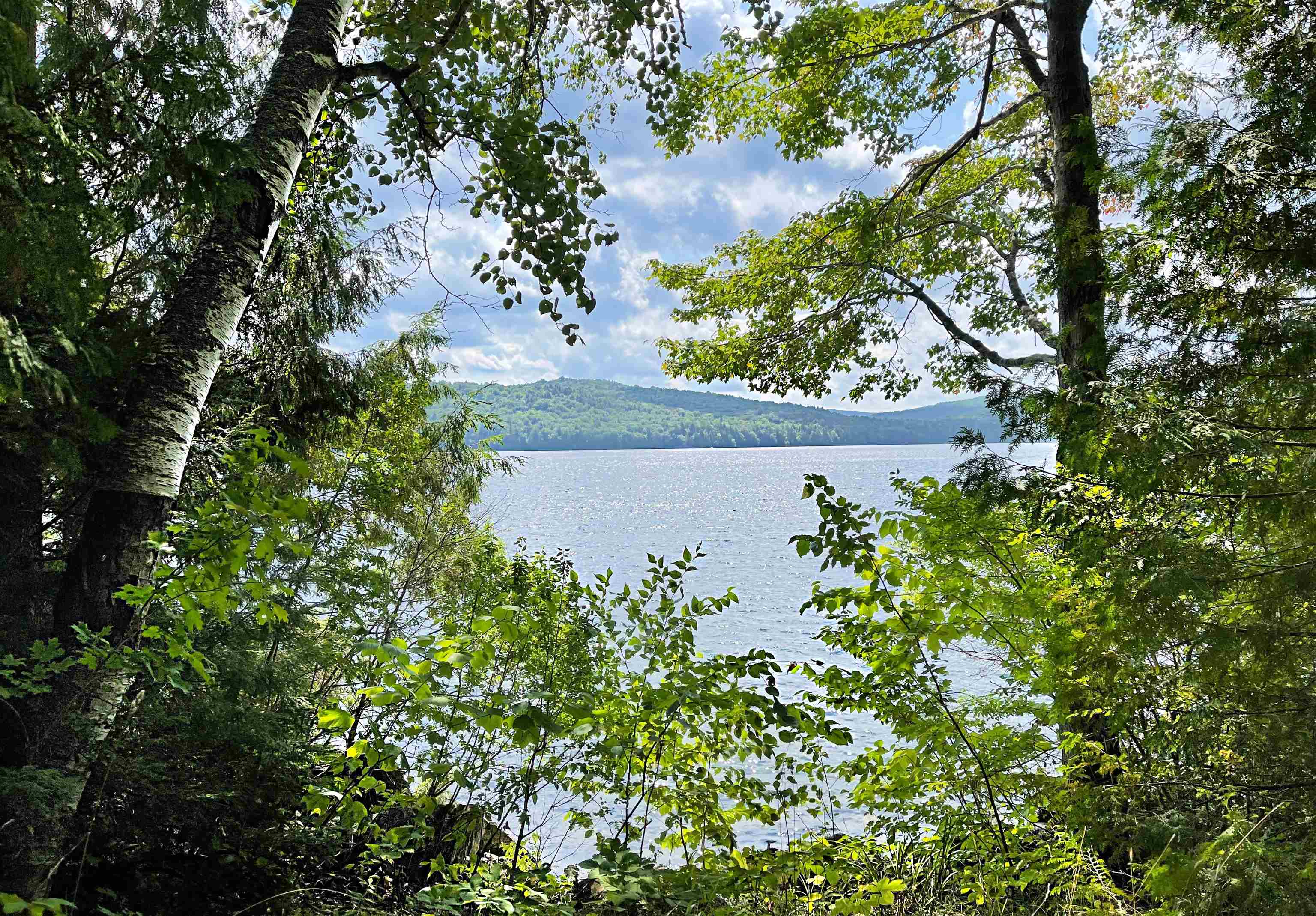 1549 WestSide Lake Road Maidstone, VT 05905 - Photo 20 of 26 Gallery Image 20