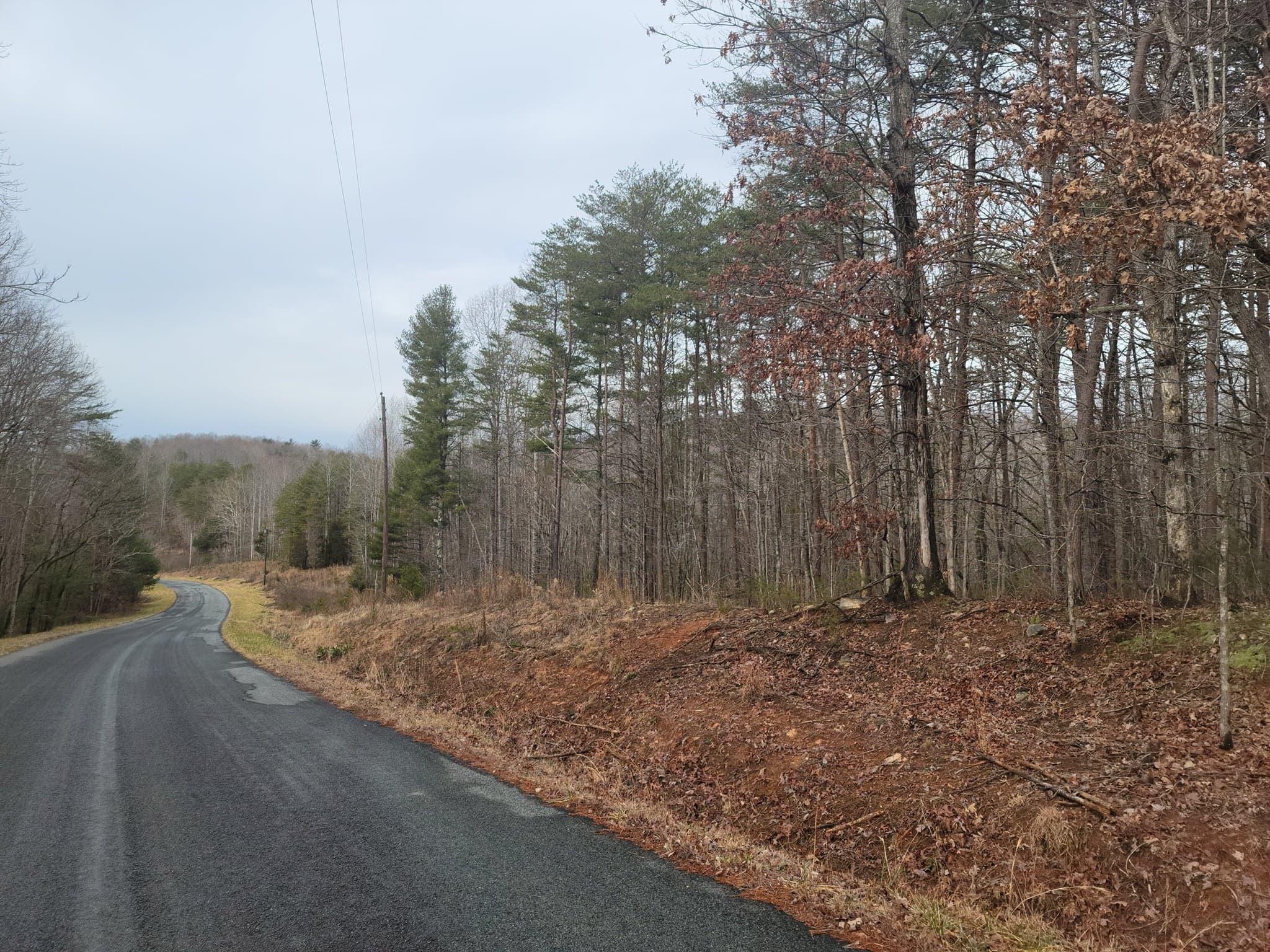 0 King Richard Road Ferrum, VA 24088 - Photo 2 of 5 a view of a backyard